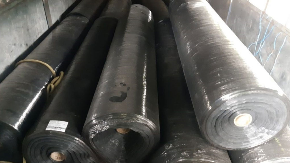 vai-dia-ky-thuat-det-pp-240329-02